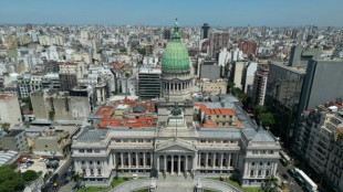 Argentina colocó 1.000 millones en su regreso al mercado de deuda en dólares