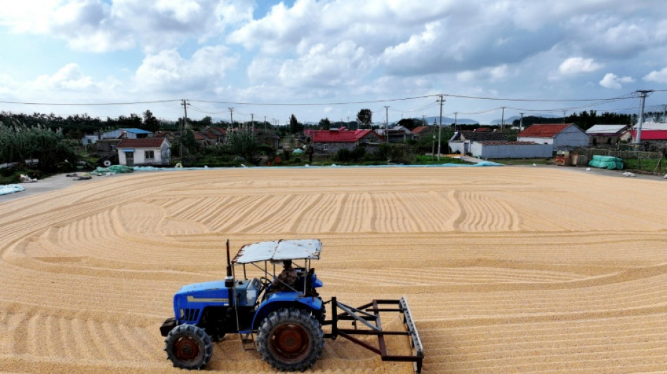 El crecimiento econ&oacute;mico de China se desaceler&oacute; en el 3T, seg&uacute;n un sondeo de la AFP
