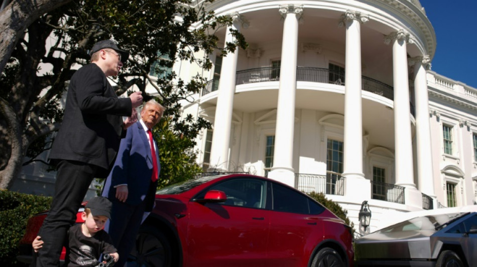 Tesla says profits plunge 71%, warns of 'changing political sentiment'