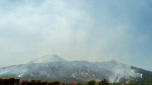 Waldbrand am Vesuv in Italien: Wanderwege vorerst f&uuml;r Touristen gesperrt
