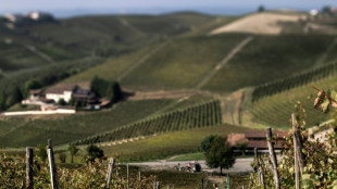 Italie: le mousseux d'Asti r&eacute;duit sa production face aux temp&ecirc;tes des march&eacute;s