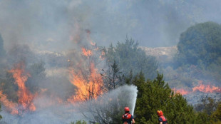 Two dead as wildfires rage near Turkish resort of Izmir