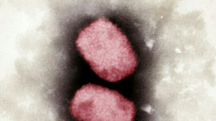 Stiko empfiehlt Impfung Affenpocken f&uuml;r Risikopersonen