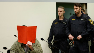L'auteur pr&eacute;sum&eacute; de l'attentat contre un cort&egrave;ge syndical &agrave; Munich face &agrave; son verdict