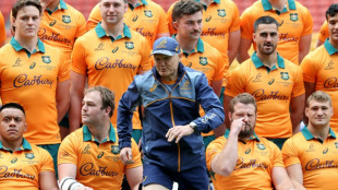World Rugby boss disappointed in Schmidt questioning player safety push