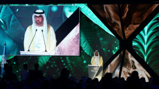 Le monde ne peut pas "d&eacute;brancher" le syst&egrave;me &eacute;nerg&eacute;tique actuel, selon le pr&eacute;sident de la COP28