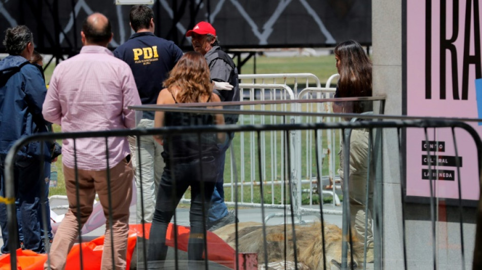 Dejan le&oacute;n muerto en el exterior del palacio presidencial de Chile 