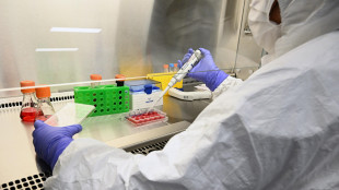 Prima alleanza tra aziende farmaceutiche per inclusività Lgbtq+