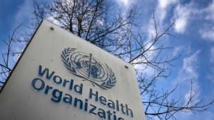 "Principio de acuerdo" en la OMS sobre texto para una mayor protecci&oacute;n ante futuras pandemias