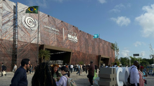 Nicht klagen, sondern machen: UN-Klimakonferenz im brasilianischen Belém eröffnet