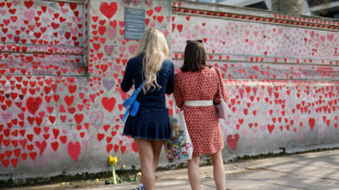 Gericht wirft britischer Regierung Vers&auml;umnisse in Corona-Politik vor