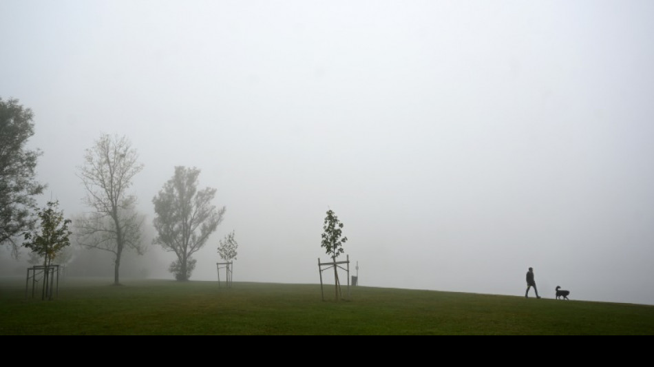 Streit um Kosten f&uuml;r Assistenzhundausbildung: Kl&auml;gerin verliert gegen Krankenkasse