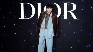 Un scientifique chinois inspir&eacute; par la pop pour baptiser des araign&eacute;es 