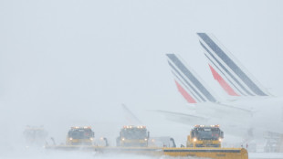 200 km/h dans le blanc: &agrave; Paris-Orly, la neige d&eacute;clenche une mission commando 