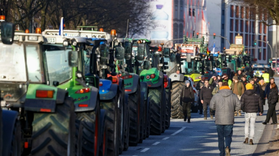 Bauernverband: Getreideernte in diesem Jahr deutlich besser als im Vorjahr