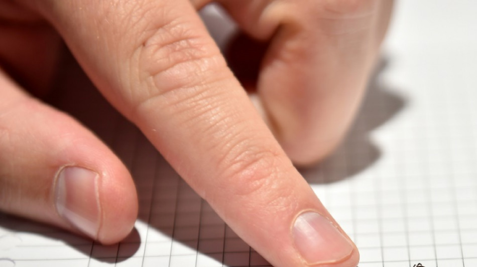 La chimie des fourmis pour mieux &eacute;chapper aux tiques