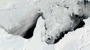 Iceberg gigante de 39 anos está derretendo na costa da Antártida