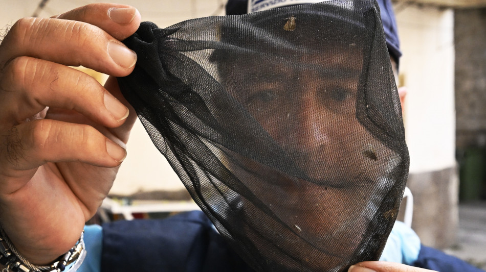 Schillaci,a oggi 145 casi notificati di West Nile con 12 decessi