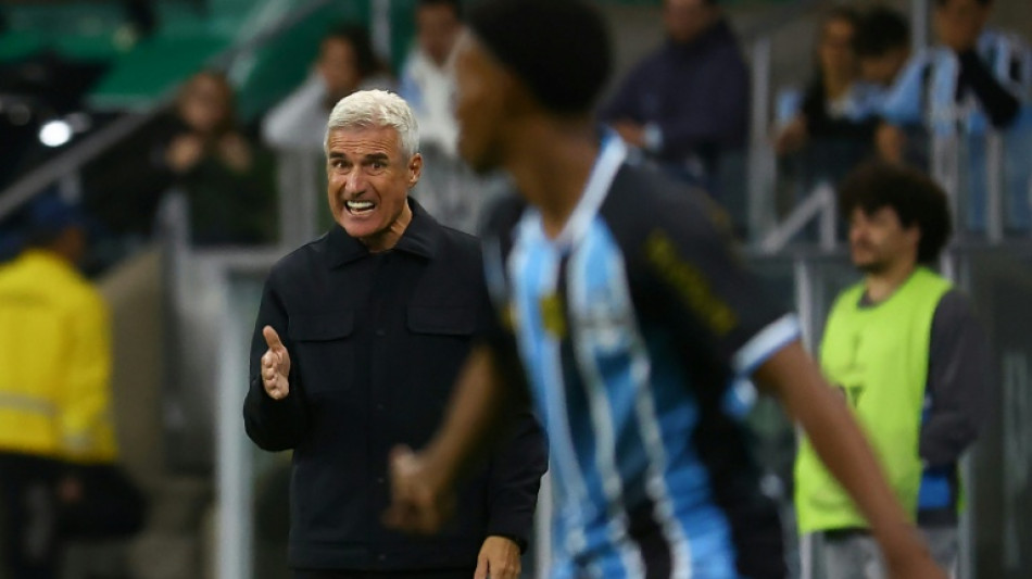 El DT portugu&eacute;s Lu&iacute;s Castro sale del Gremio de Brasil   