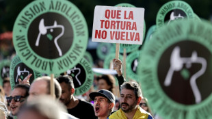 Obligan a incluir las corridas de toros en un bono cultural espa&ntilde;ol para j&oacute;venes