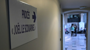 Proc&egrave;s Le Scouarnec: le fr&egrave;re du m&eacute;decin p&eacute;docriminel accuse son ex-&eacute;pouse d'avoir su et "rien fait"