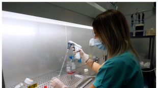 Trovata una proteina-chiave dell'et&agrave; per invecchiare in salute