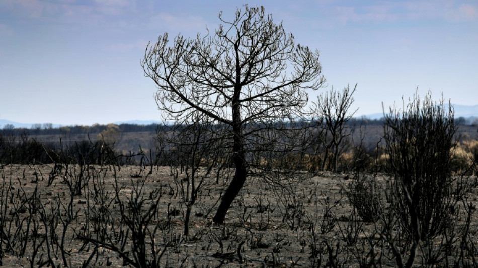 Los incendios arrasan una Espa&ntilde;a envejecida