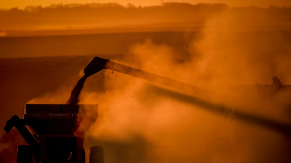 La justicia de Brasil restituye el pacto de no comerciar soja de &aacute;reas deforestadas de la Amazon&iacute;a
