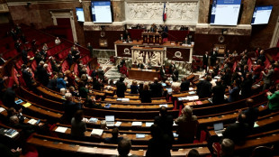 L'Assembl&eacute;e valide la "suspension" de la r&eacute;forme des retraites, la gauche se fracture