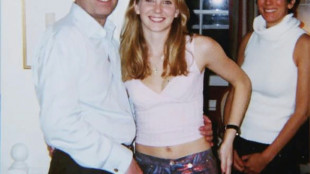 UK's royal protection officers urged to speak up in Epstein probe