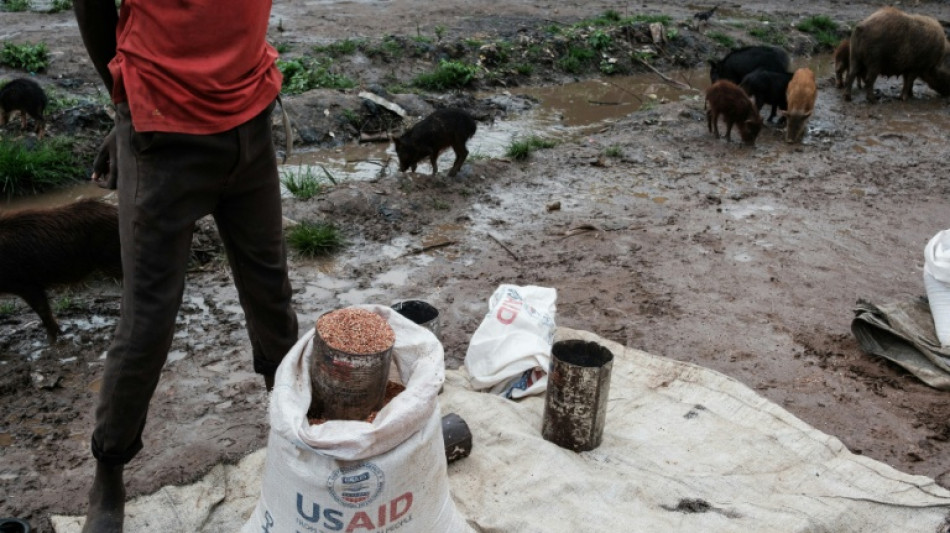 Recortes en la ayuda de EEUU y Europa podrían causar 22,6 millones de muertes, según un estudio