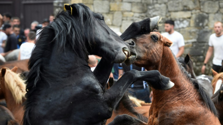 Un filme inmersivo sobre una tradición gallega compite en Cannes