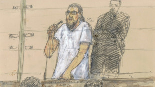 Attentat de Magnanville: perp&eacute;tuit&eacute; requise en appel contre Mohamed Lamine Aberouz