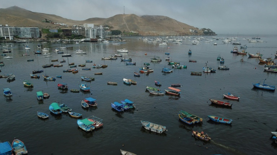 Sombr&iacute;o balance de derrame petrolero en Per&uacute;: aves muertas y pescadores sin trabajo
