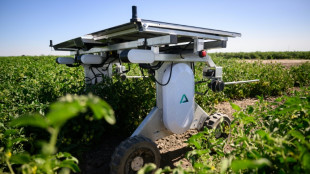 AI robots fill in for weed killers and farm hands