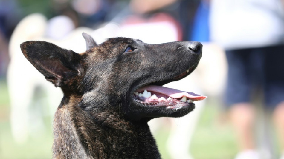 El perro de Alain Delon no ser&aacute; eutanasiado como quer&iacute;a el actor