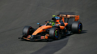 Norris back on pole for Mercedes at Hungarian GP