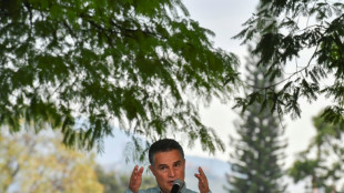 Un gobernador colombiano espera iniciar el traslado de hipop&oacute;tamos a M&eacute;xico e India este semestre