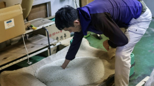 El sake japon&eacute;s entra en la lista del Patrimonio Cultural Inmaterial de la Unesco