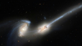 Via Láctea provavelmente vai se salvar de colisão com a colossal Andrômeda