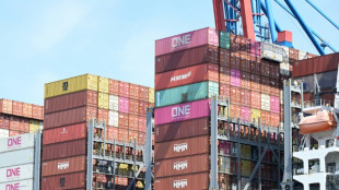 Deutsche Exportwirtschaft leidet unter Trump-Z&ouml;llen: Ausfuhren im November gesunken