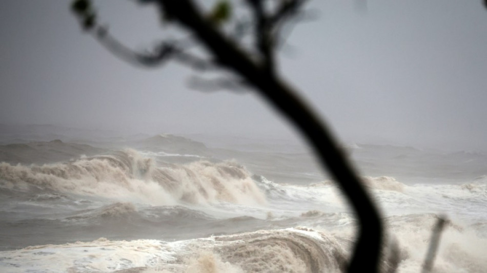 À La Réunion, les coraux lourdement endommagés par le cyclone Garance