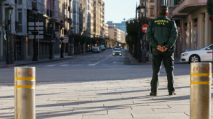 Espa&ntilde;a detiene a la brit&aacute;nica m&aacute;s buscada por un fraude de 1.000 millones de libras