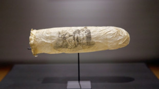 Museu de Amsterdã exibe preservativo do século XIX com gravura erótica