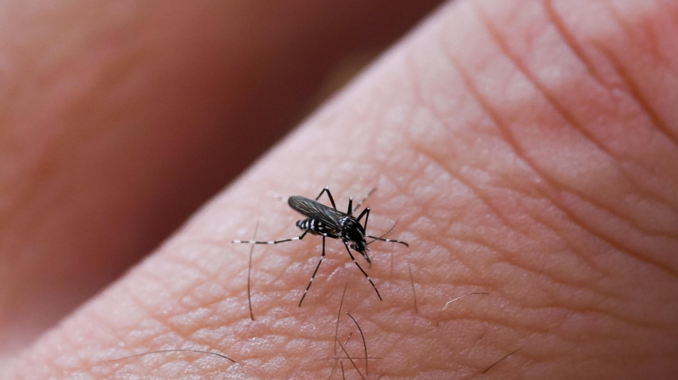Sanit&agrave; Veneto: caso di malaria &egrave; importato e non autoctono