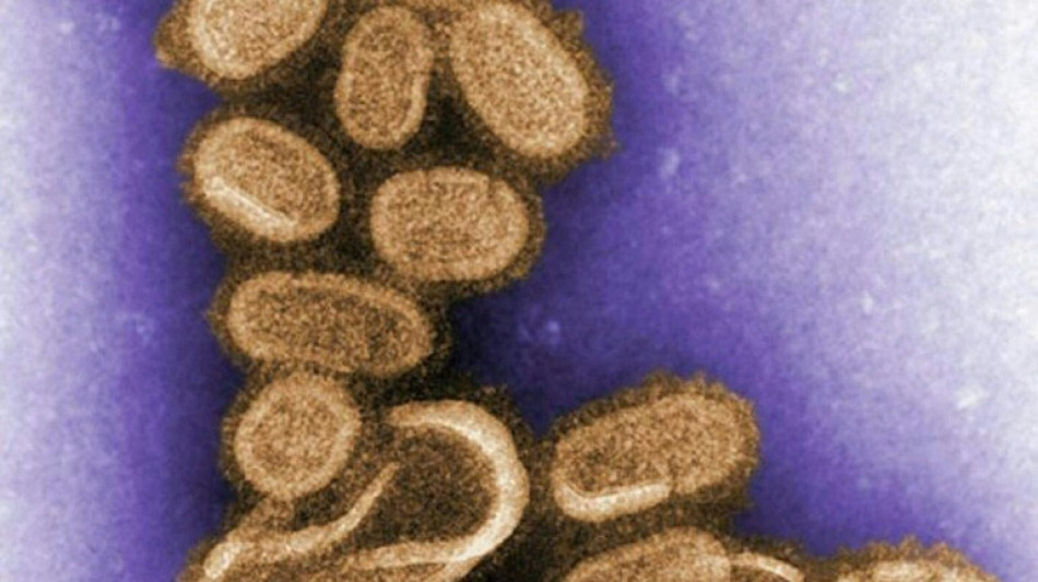 La grippe saisonni&egrave;re, possible descendante directe de la grippe "espagnole" 