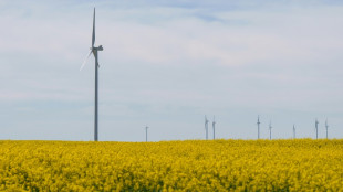 Energias renováveis na mira após grande apagão na Espanha