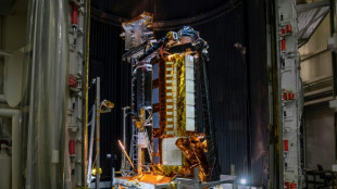 US, India to launch powerful Earth-monitoring satellite