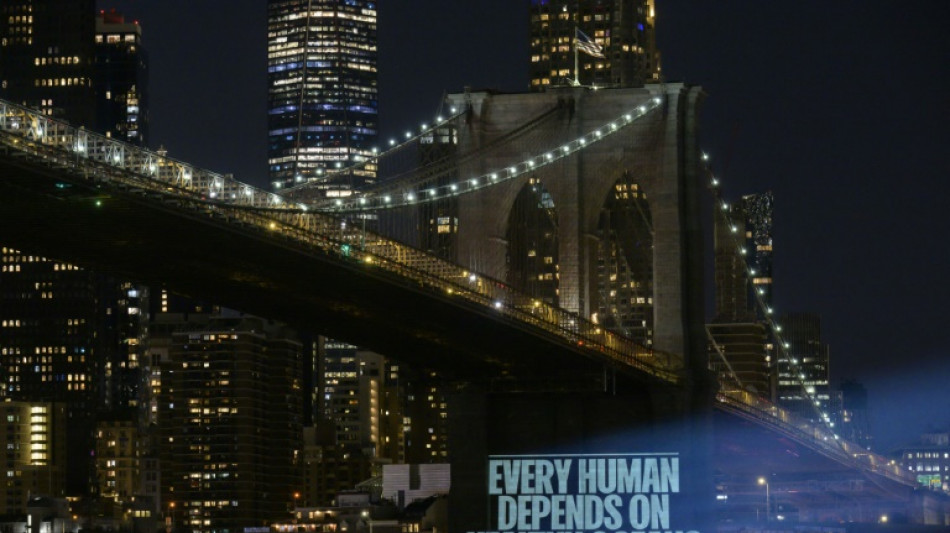 A l'ONU, nouvelle avarie pour le trait&eacute; destin&eacute; &agrave; prot&eacute;ger la haute mer