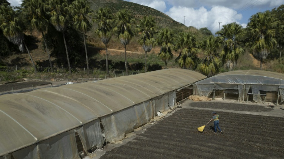 Desemprego marca outro recorde positivo no Brasil